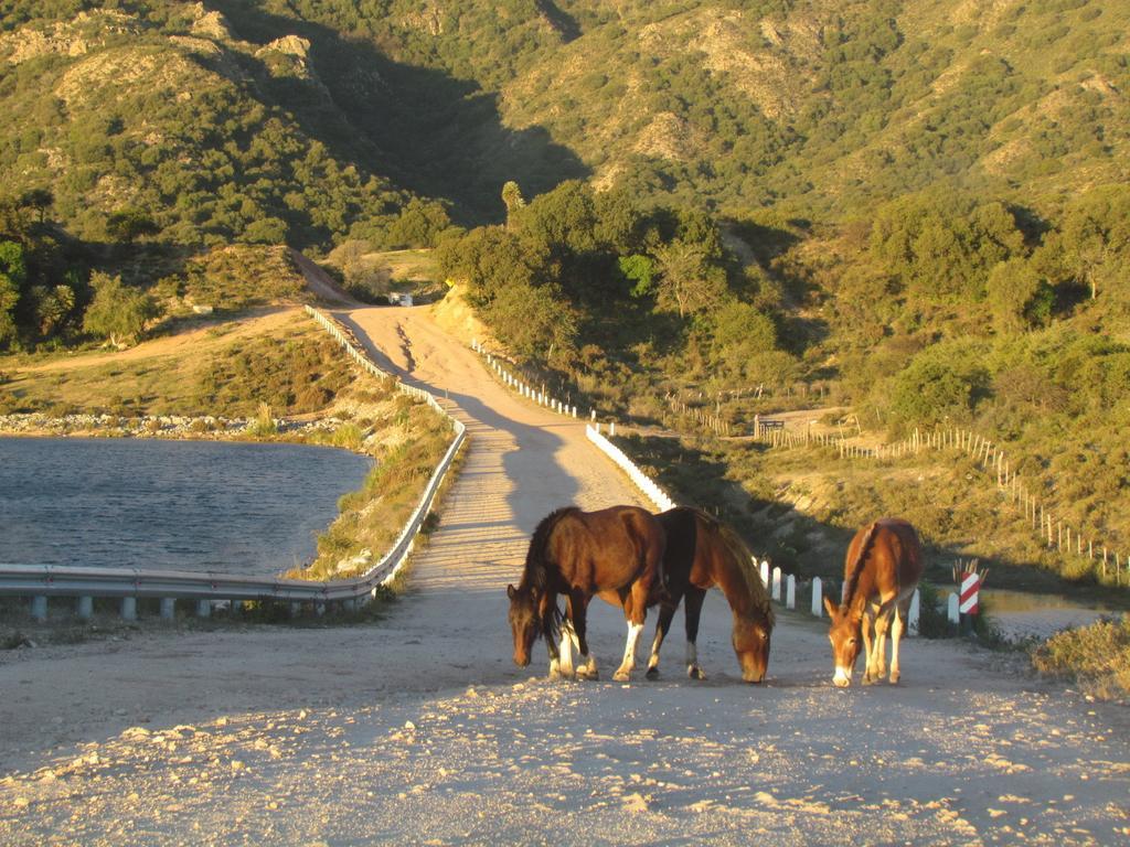 Cabanas De Montana San Miguel Cortaderas Ngoại thất bức ảnh