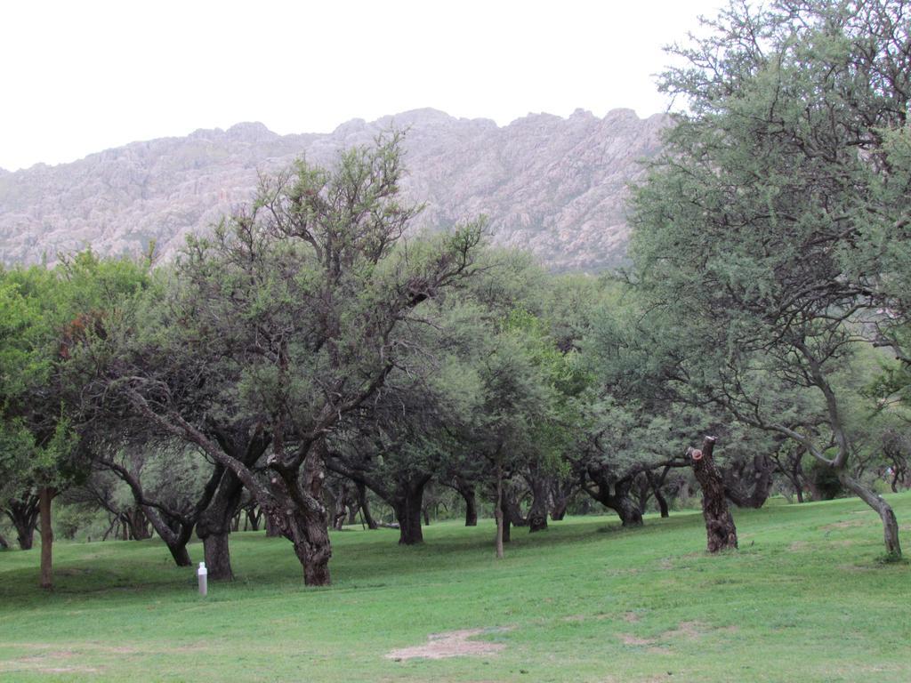 Cabanas De Montana San Miguel Cortaderas Phòng bức ảnh