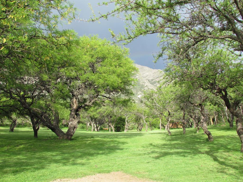 Cabanas De Montana San Miguel Cortaderas Phòng bức ảnh